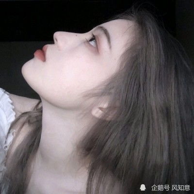 皇帝崛起手机版下载